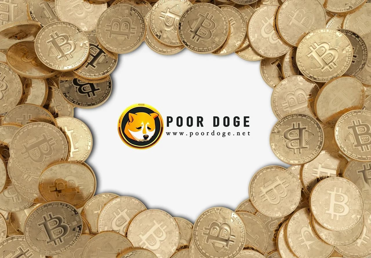 🐕📰 PDOGE Times Digital Newsletter - Issue #1 📰🐕