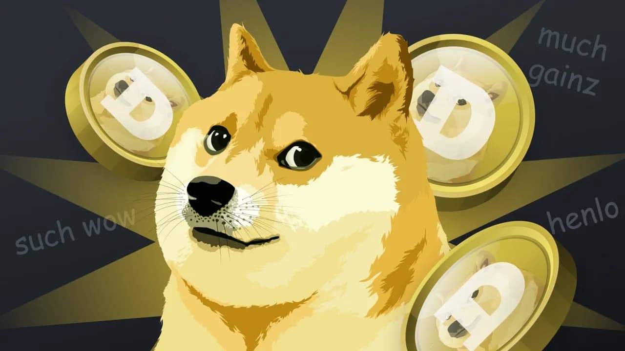 Is it the time for the DOGE whale to change its mind to PDOGE? :-